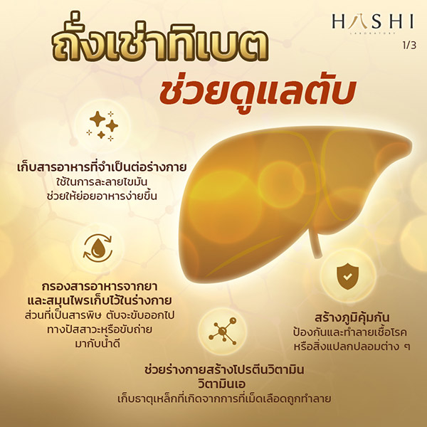 ถั่งเช่าทิเบต ช่วยดูแลตับ