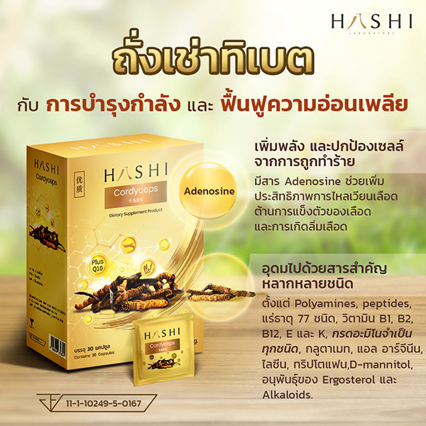 ถั่งเช่าทิเบต กับ การบำรุงกำลังและฟื้นฟูความอ่อนเพลียของร่างกาย