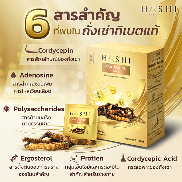 สารสำคัญใน Cordyceps Sinensis