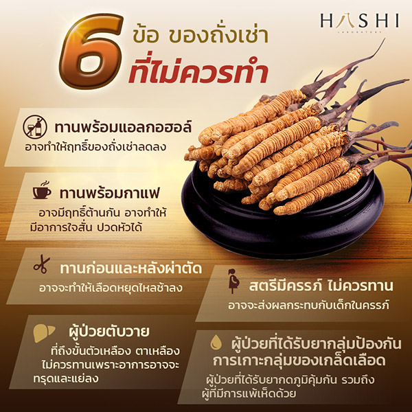 8 ข้อควรและไม่ควรเกี่ยวกับถั่งเช่า