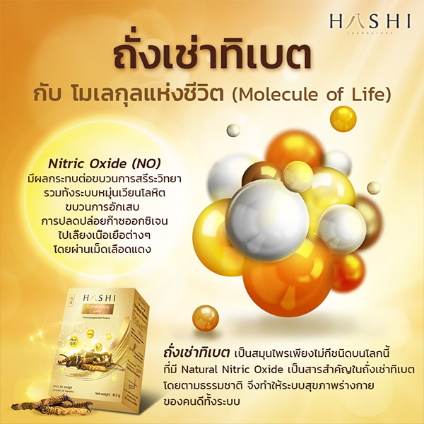ถั่งเช่าทิเบต กับ โมเลกุลแห่งชีวิต(Molecule of Life)